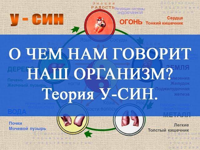 О чем нам говорит наш организм? Теория У-СИН. Здоровье с ЦСТО "Жемчужина Востока".