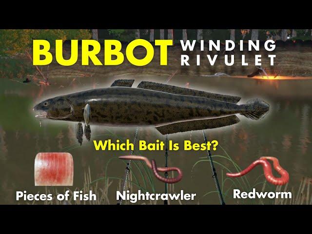 Russian Fishing 4 Bait for BURBOT at WINDING RIVULET