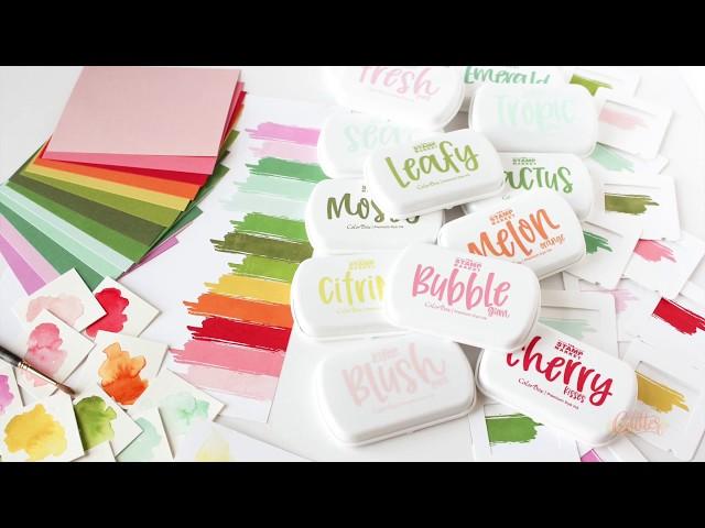 A Look At The Stamp Market's Color Crush Collection Inks