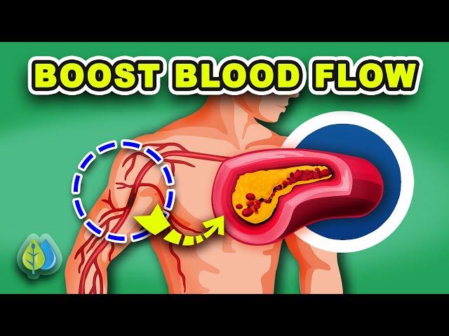 7 Vitamins to increase BLOOD FLOW and CIRCULATION | Improve Blood Flow to Legs & Brain