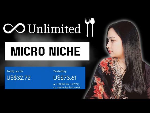 How To Find Micro Niche For Blogging : Unlimited Micro Niche Ideas 2024 for Earning #microniche