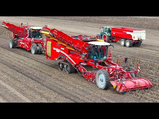 Potato Harvest 2023 | Grimme Varitron 470 TT Gen3  4-row self-propelled harvester #PotatoCam