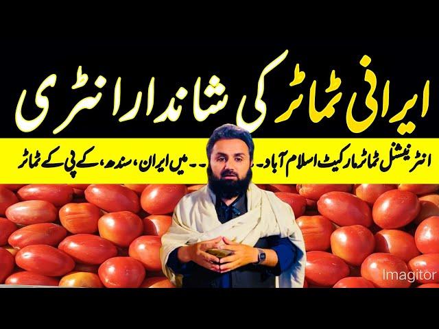 Irani Tomatoes Arrived | Tomatoes Market Islamabad | 25 December 2024 | Sindh and KPK Tomatoes Today