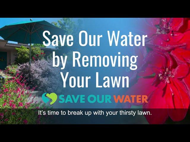 Save Our Water By Removing Your Lawn