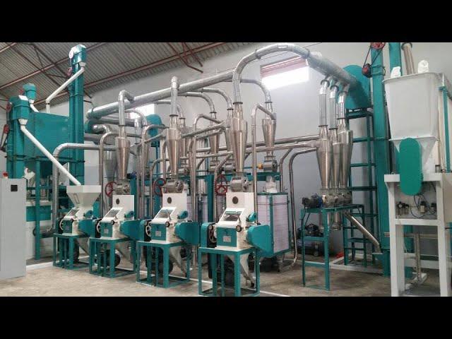 30t maize flour mill plant from China Hongdefa Machinery with automatic line