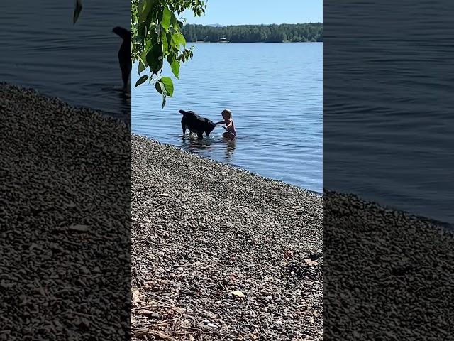 Naked Baby playing in water with dog