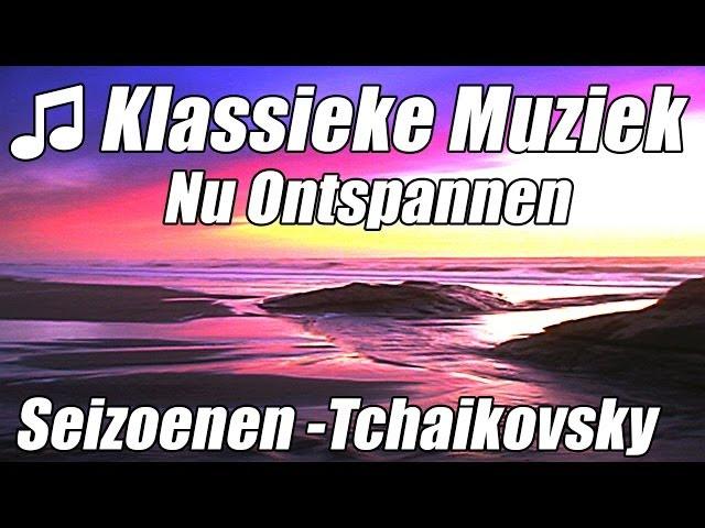 Klassieke Muziek Symphony Orchestra voor het bestuderen van werk meditatie ontspannen ballet beste