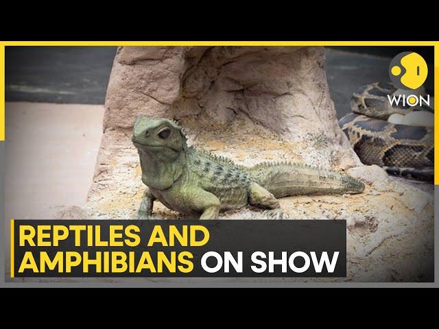 London Zoo exhibit reptiles and amphibians | Latest English News | WION