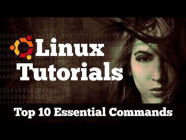 Top 10 Essential Terminal Commands for Ubuntu Linux Beginners