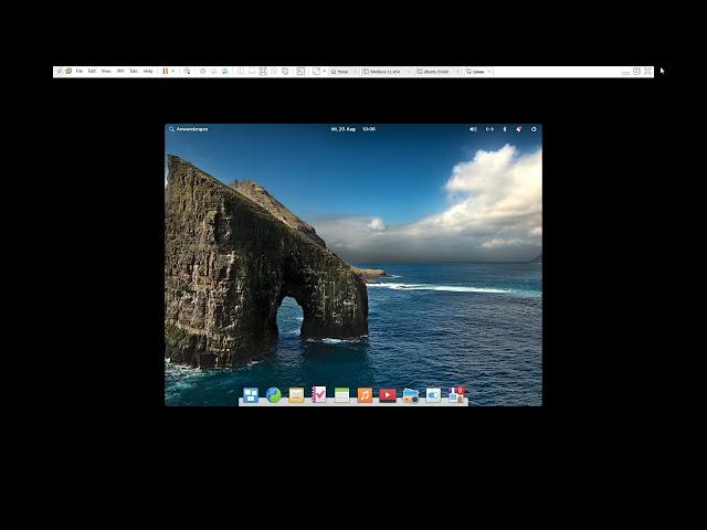 elementary os in VMWare installieren