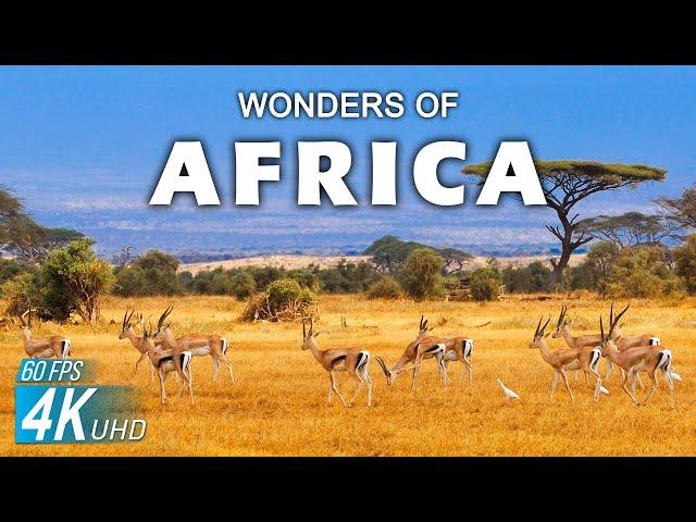 Wonders of Africa | The Most Amazing Places in Africa | Travel Video 4K