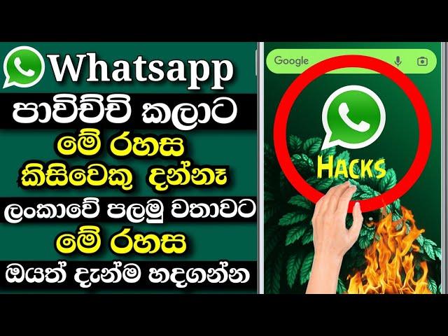 Whatsapp secret tricks and tips new 2021 Shark boy sl | Best whatsapp trick