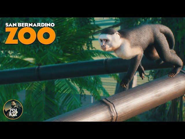 Building a Capuchin Adventure in Franchise Mode! | San Bernardino Zoo | Planet Zoo