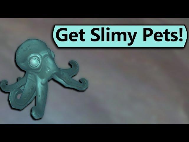 How to Get Every Secret Slimy Pet in Nazjatar!