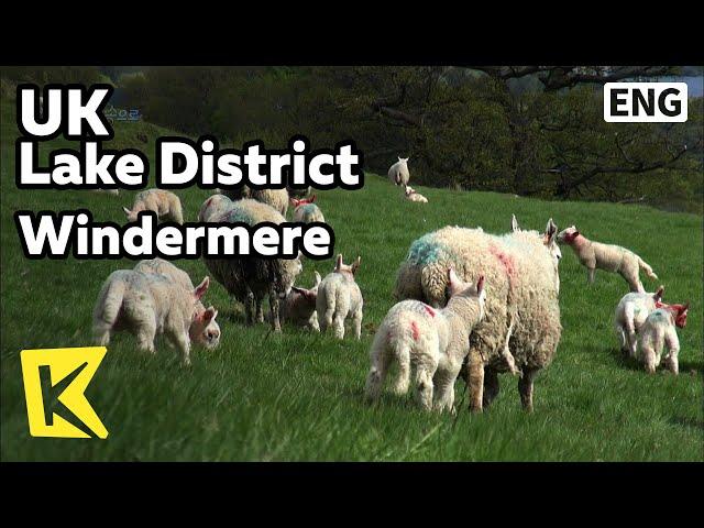 【K】UK Travel-Lake District[영국 여행-레이크 디스트릭트]레이크 디스트릭트, 윈더미어/Windermere/Peter Rabbit/Beatrix Potter