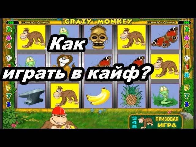 Казино Вулкан - КАК играть ПРАВИЛЬНО! Выигрыш 500 000 в Crazy Monkey (Обезьянки) в онлайн казино!