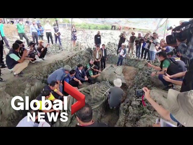 Thai archeologists unearth perfectly preserved 5000-year-old whale skeleton