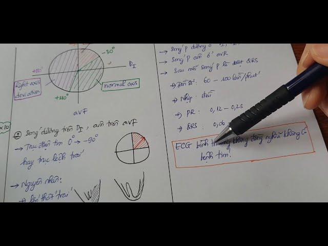 ECG cơ bản - phần 1