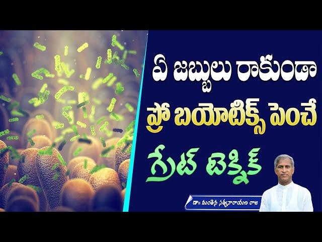 Probiotics for Gut Health | Immune System | Friendly Bacteria | Curd | Manthena Satyanarayana Raju