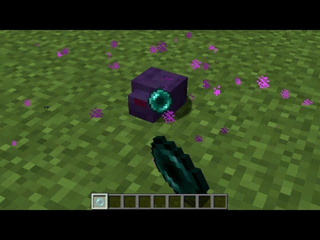 what's inside the endermite?