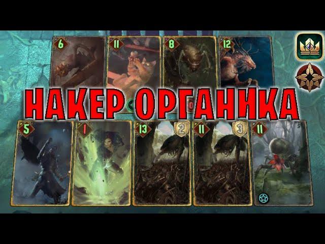 GWENT | ДВОЙНАЯ КИКИМОРА — НАКЕР ИНСЕКТОИДЫ (Стая главоглазов) — гайд | Гвинт Патч 12.7