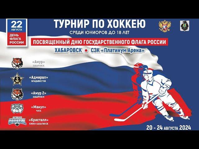 Манул - Амур 2. 22.08.2024. Прямой эфир