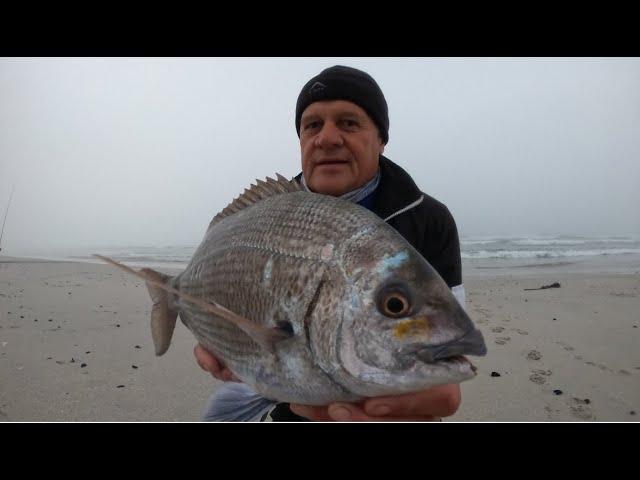 Massive Black tail...fishing with my daughters @ Strandfontein Broken Roads