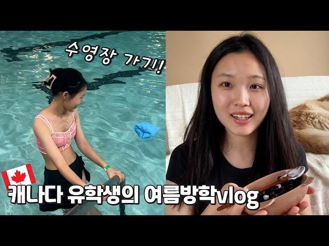 16살 캐나다 유학생의 여름방학 vlog /수영장에 갔는데 빠꾸 먹었어요..ㅠㅠ 이제 공부 할 거니까 스터디 플래너도 쓰고~ 알차게 보내는 방학 일상!│헬로음이유니