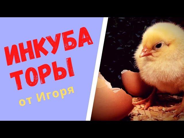 Инкубаторы от Игоря / ОТЗЫВЫ / Что нового в изготовлении