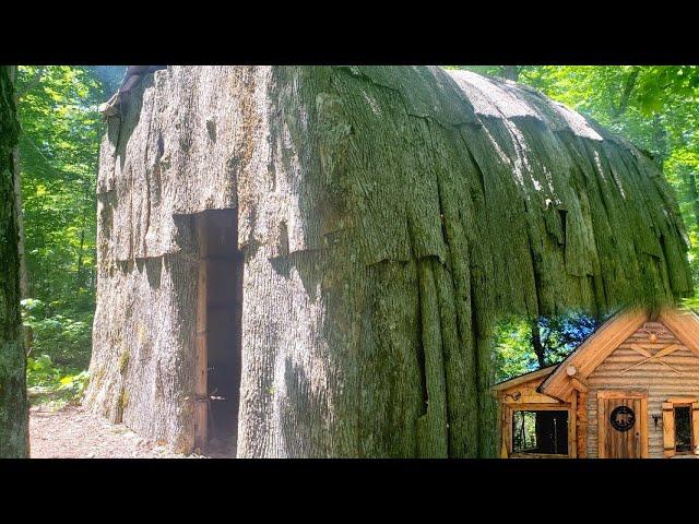 Bushcraft Building Natural Primitive Bark Roof Longhouse Shelter - First Overnight & Off Grid Cabin