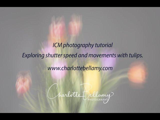 ICM tutorial Exploring shutter speed and periods of stillness in an exposure