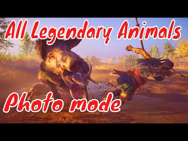 All Legendary Animals. Photo mode. Assassin's Creed Odyssey