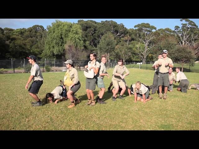 SYMBIO WILDLIFE PARK - Zoo Keepers as Animals