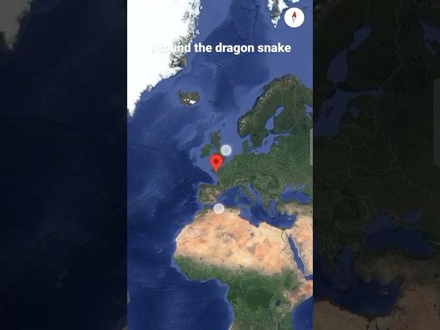 Real dragon snake, I found the real dragon snake by Google map