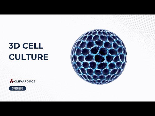 3D Cell Culture