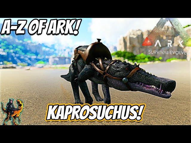 A-Z Of Ark! The KAPROSUCHUS, The Mini Sarco!! || Ark Survival Evolved!