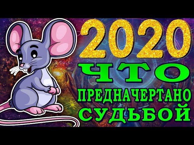 2020 ГОД БЕЛОЙ МЕТАЛЛИЧЕСКОЙ. Каким будет 2020 год? Год какого животного будет 2020 год?