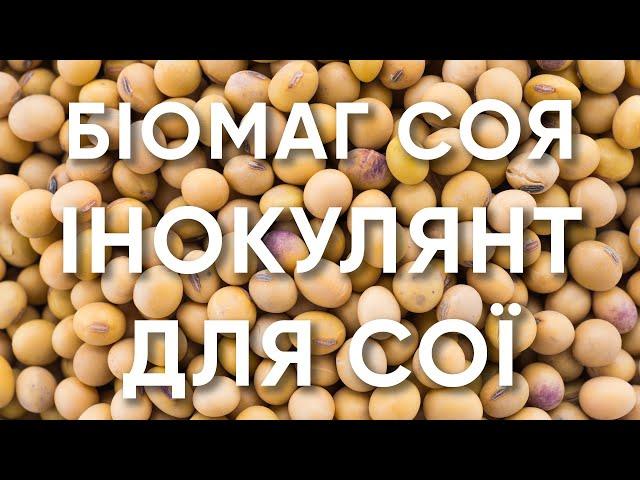 Сухий інокулянт на сою БіоМАГ ENZIM Biotech - Склад, переваги, норма витрат, упаковка, де купити