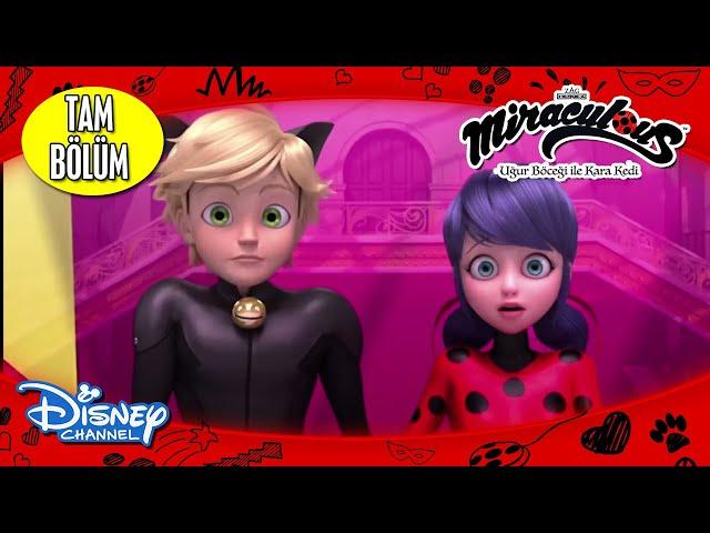 Mucize: Uğur Böceği ile Kara Kedi I 2. Sezon 15. Bölüm - TAM BÖLÜM  I Disney Türkiye