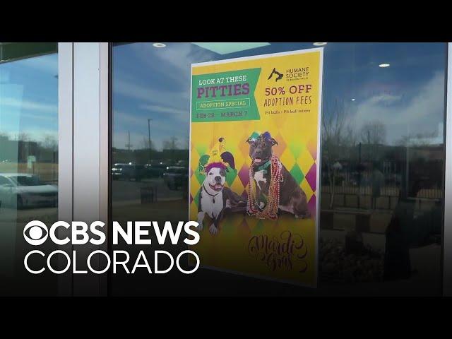 Humane Society of Boulder Valley holds Mardi Gras adoption special