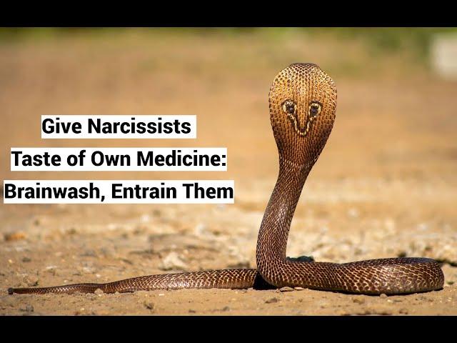 Give Narcissists Taste of Own Medicine: Brainwash, Entrain Them