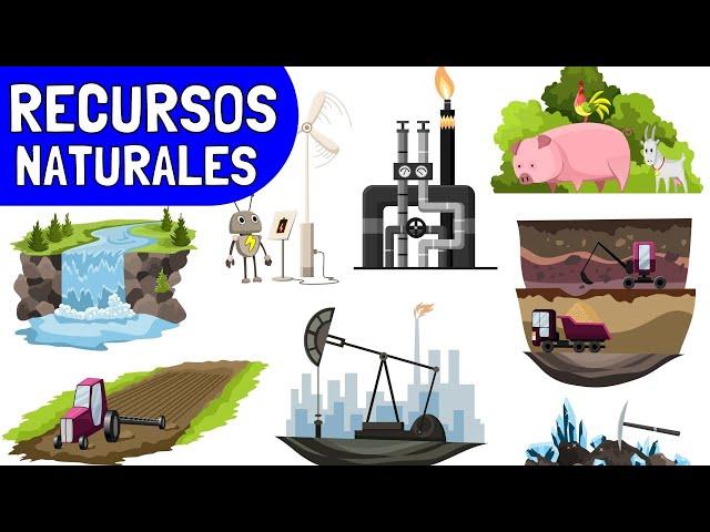 ¿Qué son los RECURSOS NATURALES? (Con Ejemplos y Explicación)️