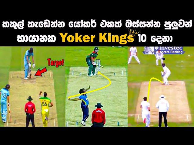 ක්‍රිකට් ලොව බිහි වුනු Yoker Kingsලා 10 දෙනා  Top 10 Yoker Kings in Cricket History