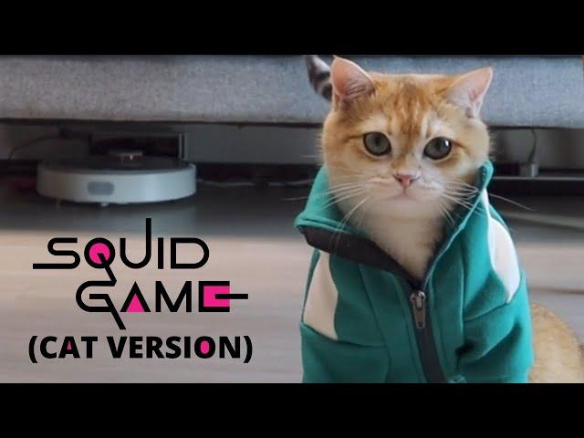 Squid Game - Cat Version