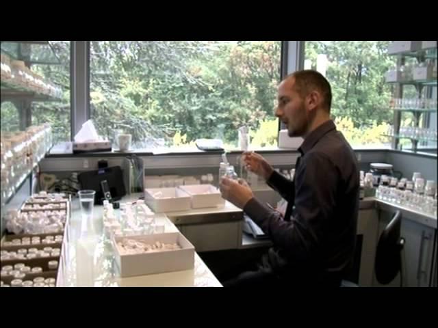 BBC4 visits Givaudan Perfumery School