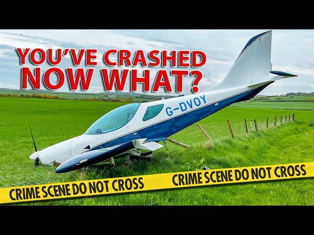 You SURVIVED a plane crash! You won't believe what happens next!