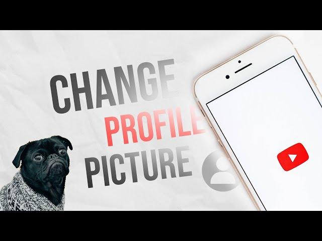 How to Change Your Profile Picture on Youtube iPad 2022 (tutorial)