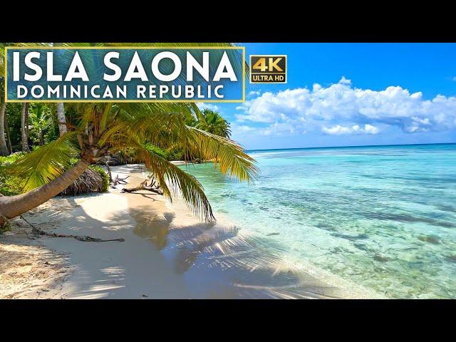 Saona Island Dominican Republic 4K