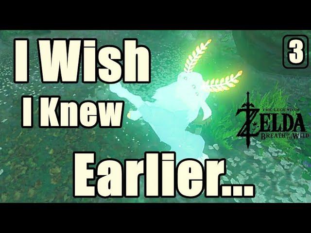 I wish I Knew Earlier in Zelda Breath of The Wild #3