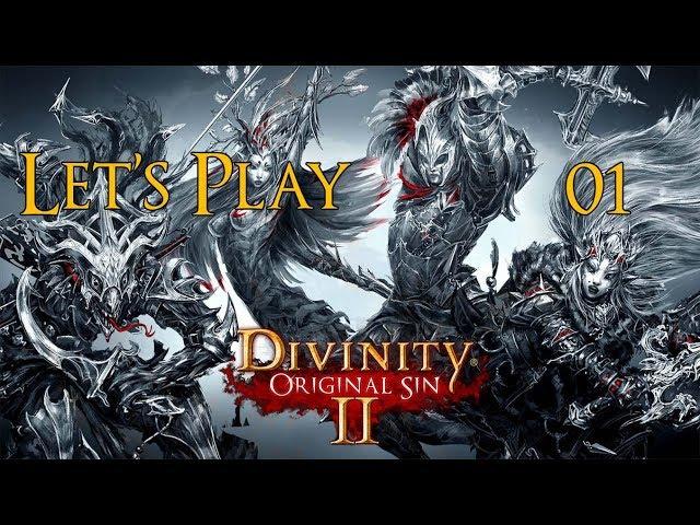 Divinity: Original Sin II - Solo Playthrough Part 1: Act 2 Begins!